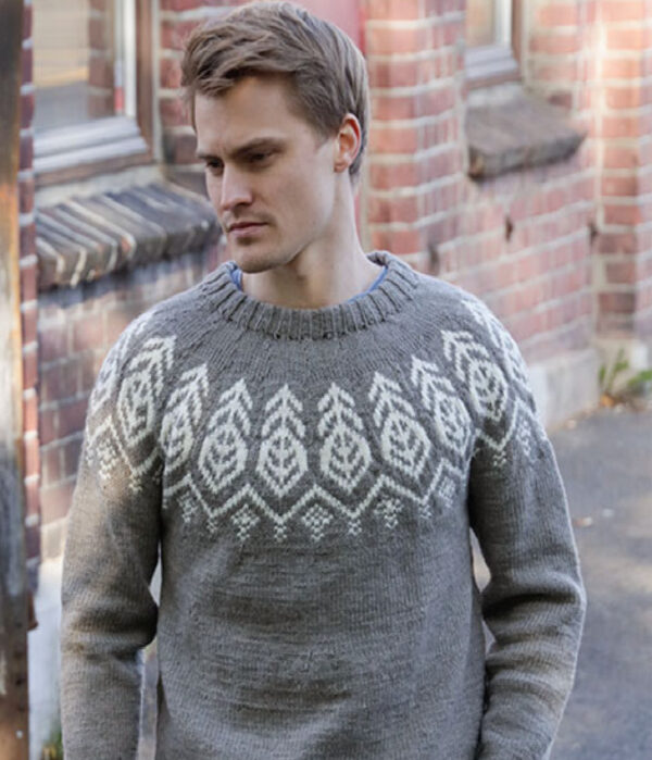 Meeste kampsun "Mandal" (muster 208-15; lõng Merino Extra Fine)
